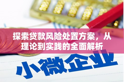 新抚探索贷款风险处置方案，从理论到实践的全面解析