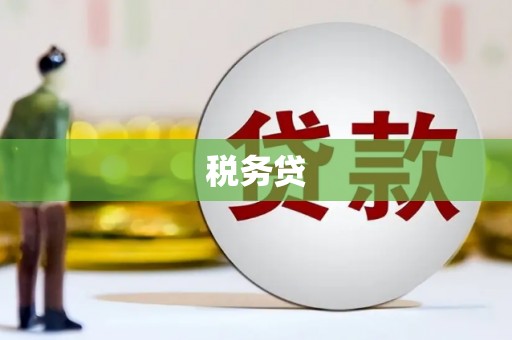 新抚税务贷
