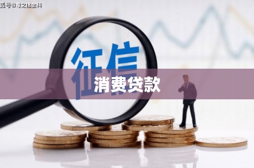 新抚消费贷款