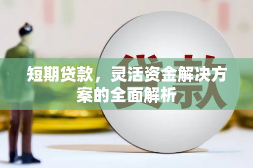 新抚短期贷款，灵活资金解决方案的全面解析