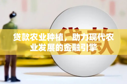 新抚贷款农业种植，助力现代农业发展的金融引擎