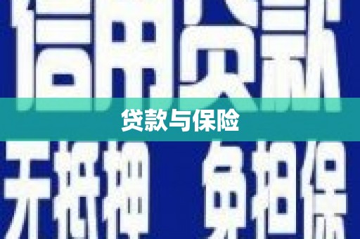 新抚贷款与保险