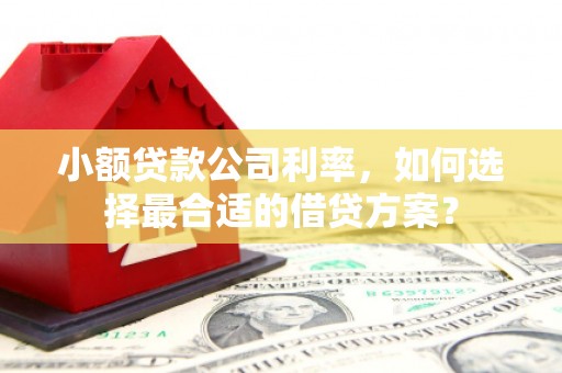 新抚小额贷款公司利率，如何选择最合适的借贷方案？