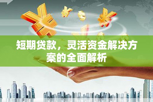 新抚短期贷款，灵活资金解决方案的全面解析