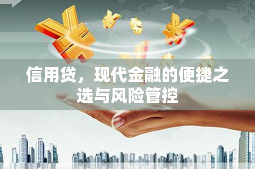 新抚信用贷，现代金融的便捷之选与风险管控