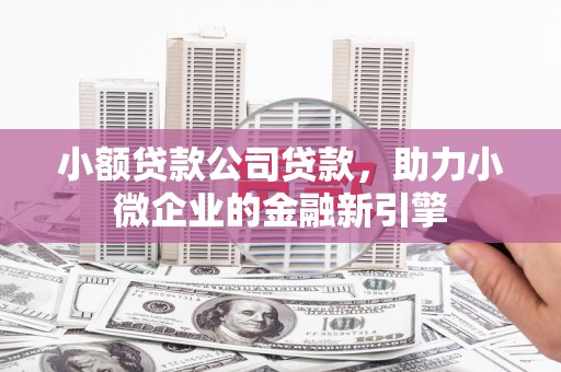 新抚小额贷款公司贷款，助力小微企业的金融新引擎