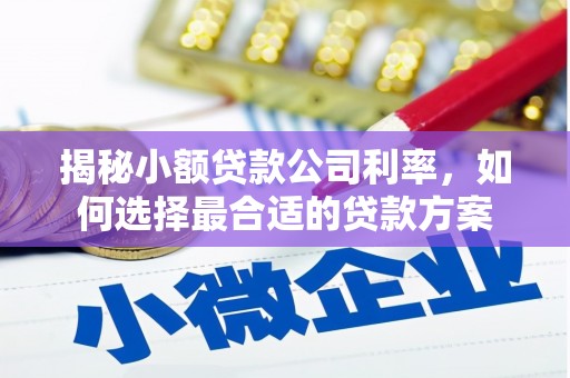 新抚揭秘小额贷款公司利率，如何选择最合适的贷款方案