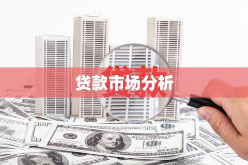 新抚贷款市场分析