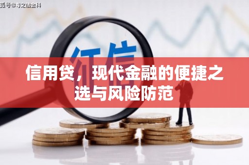 新抚信用贷，现代金融的便捷之选与风险防范