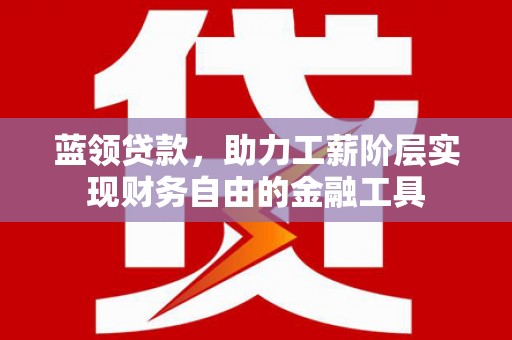 新抚蓝领贷款，助力工薪阶层实现财务自由的金融工具