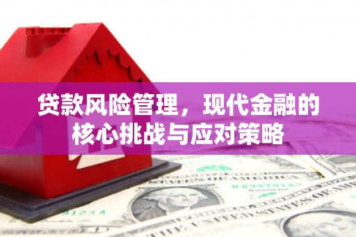 新抚贷款风险管理，现代金融的核心挑战与应对策略