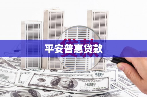 新抚平安普惠贷款