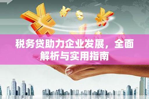 新抚税务贷助力企业发展，全面解析与实用指南