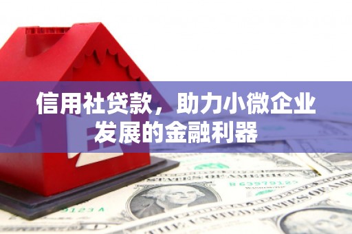 新抚信用社贷款，助力小微企业发展的金融利器