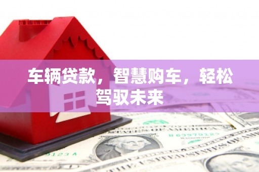 新抚车辆贷款，智慧购车，轻松驾驭未来