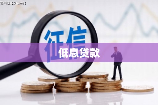 新抚低息贷款