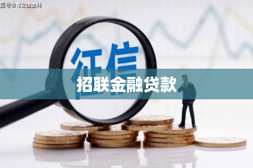 新抚招联金融贷款