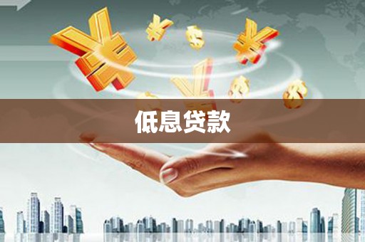 新抚低息贷款