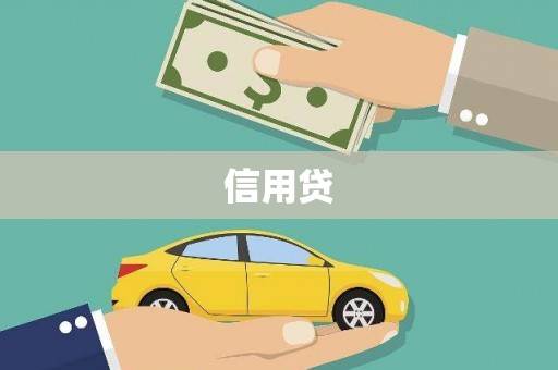 新抚信用贷