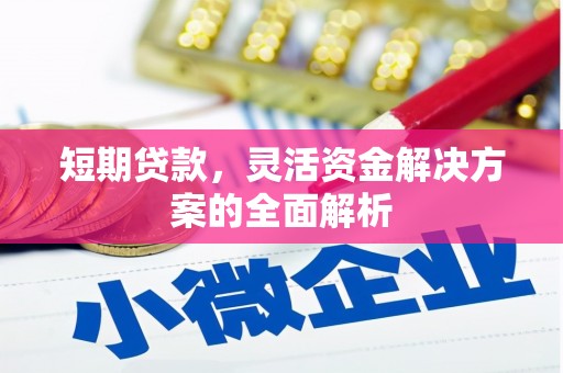 新抚短期贷款，灵活资金解决方案的全面解析