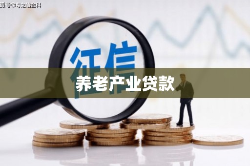 新抚养老产业贷款