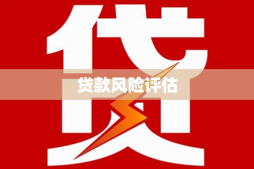 新抚贷款风险评估