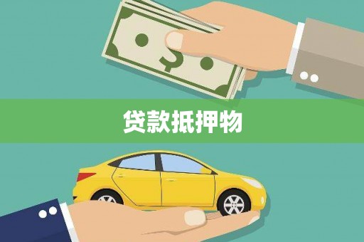 新抚贷款抵押物