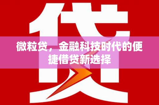 新抚微粒贷，金融科技时代的便捷借贷新选择