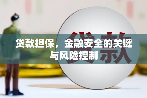 新抚贷款担保，金融安全的关键与风险控制