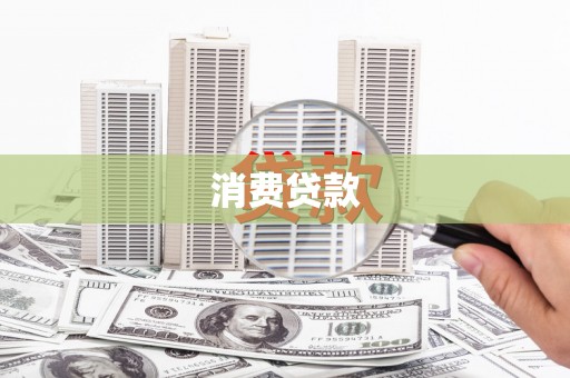 新抚消费贷款