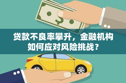 新抚贷款不良率攀升，金融机构如何应对风险挑战？