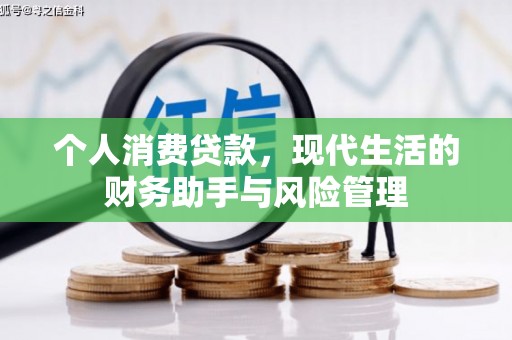 新抚个人消费贷款，现代生活的财务助手与风险管理