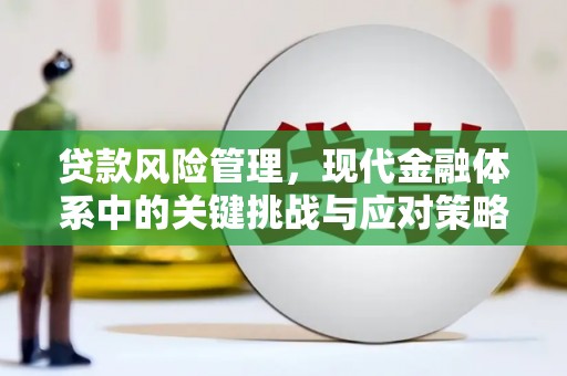 新抚贷款风险管理，现代金融体系中的关键挑战与应对策略
