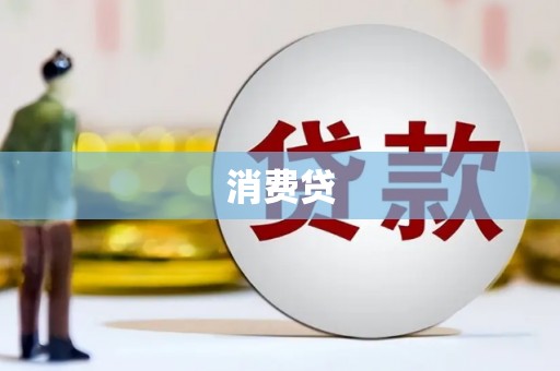 新抚消费贷