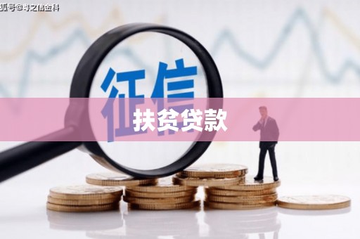新抚扶贫贷款