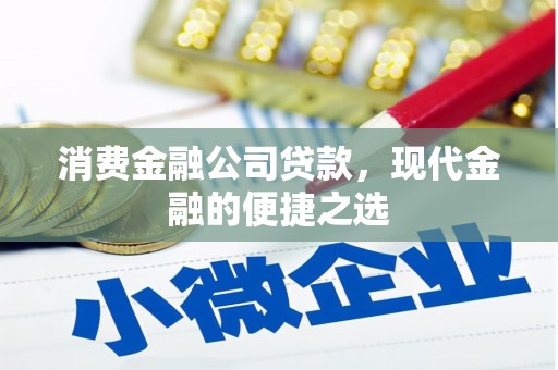 新抚消费金融公司贷款，现代金融的便捷之选