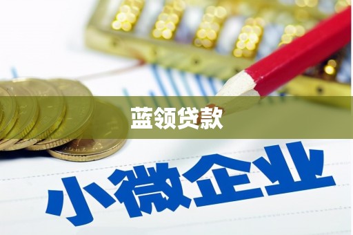 新抚蓝领贷款