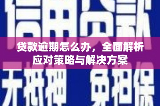 新抚贷款逾期怎么办，全面解析应对策略与解决方案