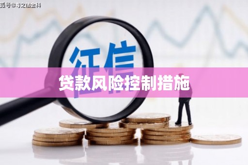 新抚贷款风险控制措施