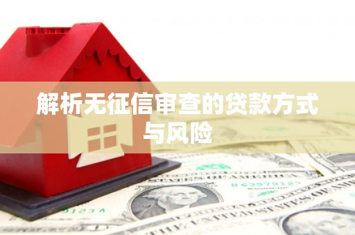 新抚解析无征信审查的贷款方式与风险