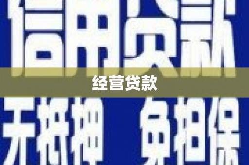 新抚经营贷款