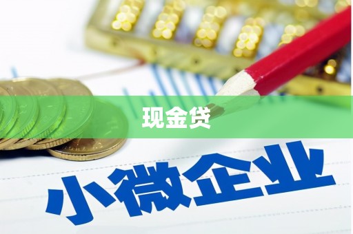 新抚现金贷