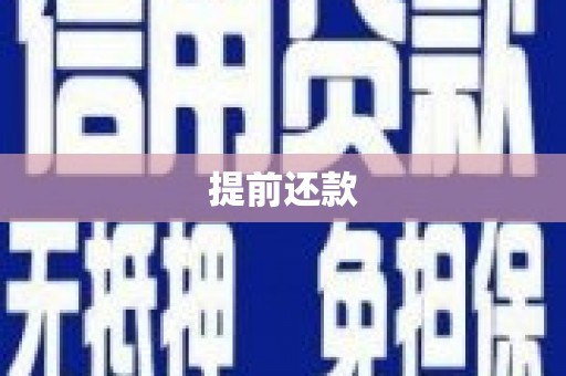 新抚提前还款